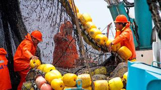 Suspenderán la segunda temporada de pesca de anchoveta desde próxima semana, informó Produce