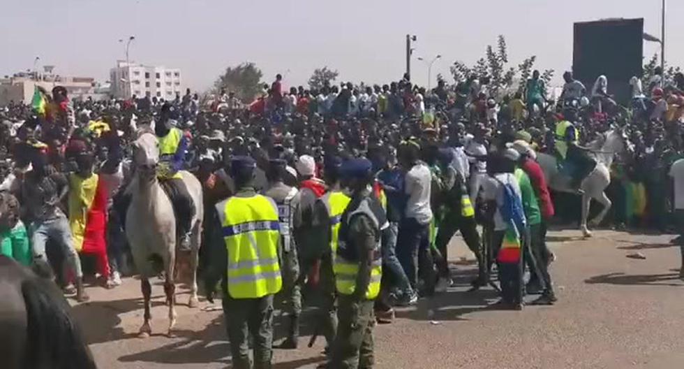 Senegal fans await the team at the airport to celebrate the African Cup title |  VIDEO