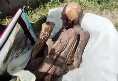 Más de 20 momias peruanas fueron sacadas ilegalmente del país en el mercado negro 