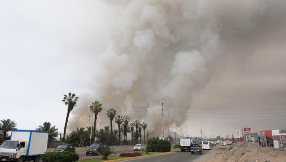 Pantanos de Villa: incendio dañó 1% del área total de reserva