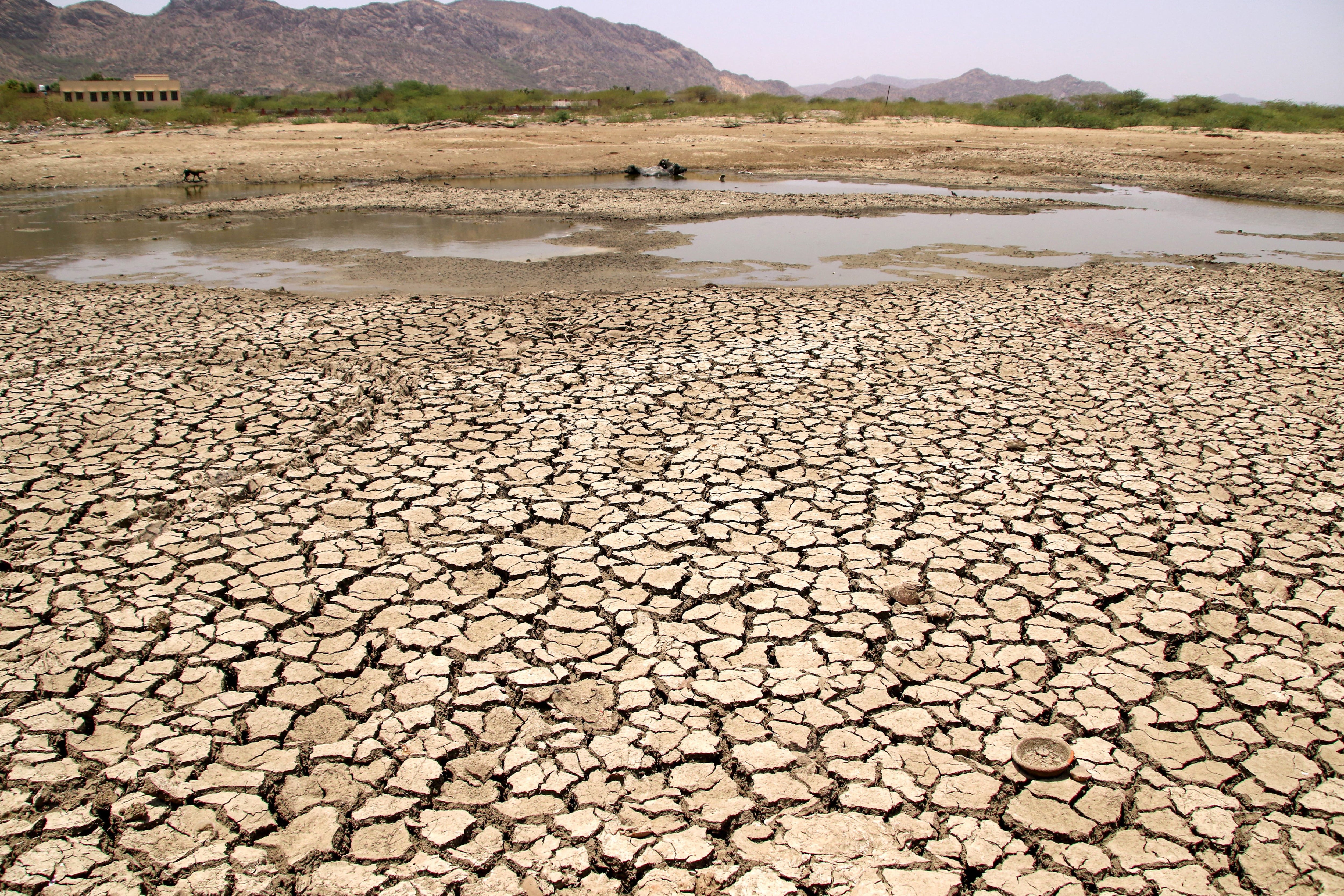 In this June 02, 2019 file photo, a general view of a lake drying up on a hot summer day near Ajmer, India is seen.  (Photo: AFP)