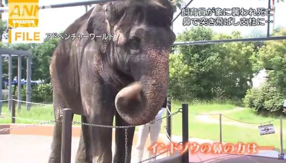 Japón: Empleado de zoológico muere por ataque de elefante