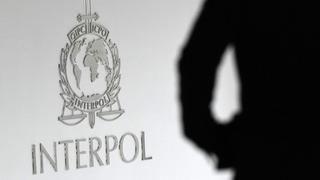 Interpol lanza una base de datos para identificar a desaparecidos a través del ADN de sus familiares 