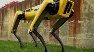 Perros robot: en Singapur son los guardianes del distanciamiento social