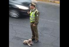Carabinero obligó a taxista a llevar a perrita que atropelló al veterinario