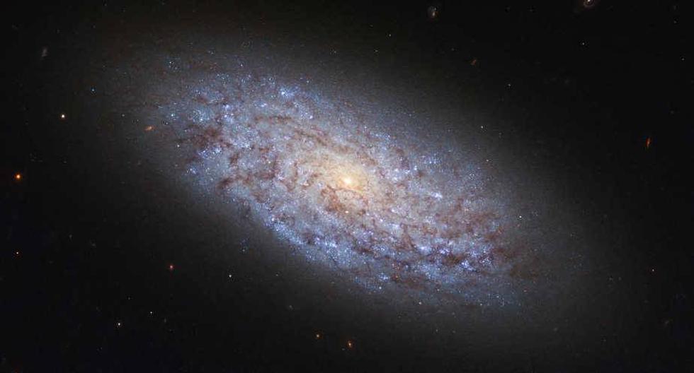 Hubble de la NASA y ESA muestra la galaxia espiral enana NGC 5949. (Foto: ESA/Hubble and NASA)