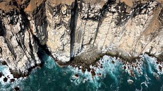 Evelyn Merino-Reyna: fotografiando desde la perspectiva de una ave 