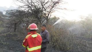 Lambayeque: extinguen incendio forestal en Salas