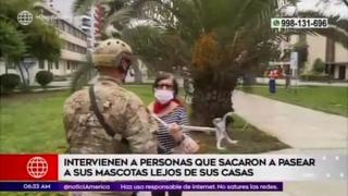 Coronavirus en Perú: PNP y el Ejército intervinieron a personas que pasearon a sus mascotas