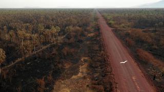 Bolivia: lluvia sofoca prolongado incendio que arrasó con 4 millones de hectáreas de bosque