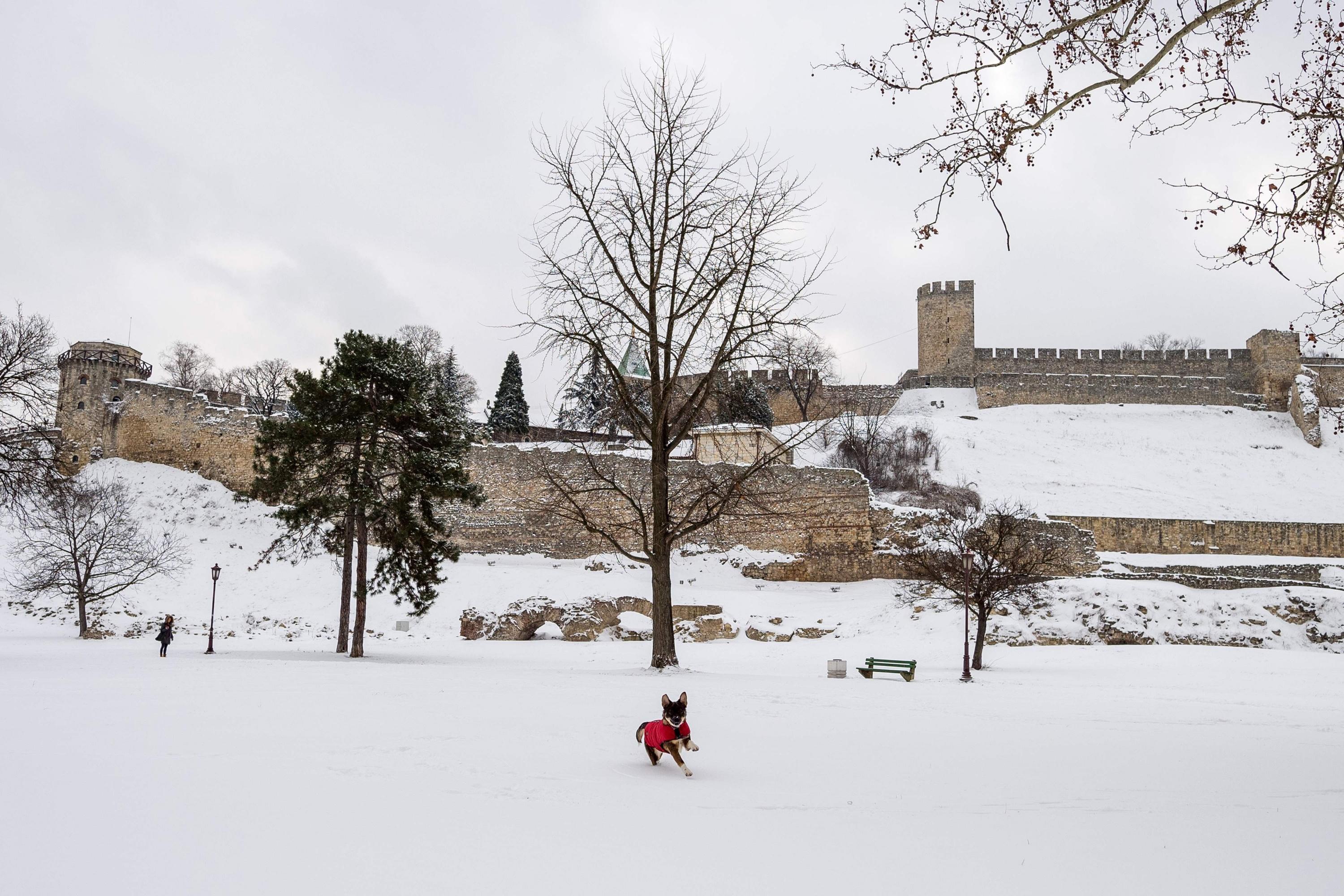 Serbia. (AFP).