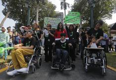 Cannabis medicinal en el Perú: ¿qué rol jugaron los colectivos de madres en la legalización del autocultivo?