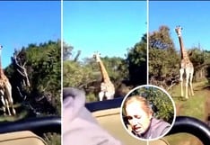 ¡Susto de muerte! Jirafa persigue a 3 turistas en medio de un safari