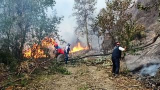 Incendios forestales afectan a cinco áreas naturales protegidas