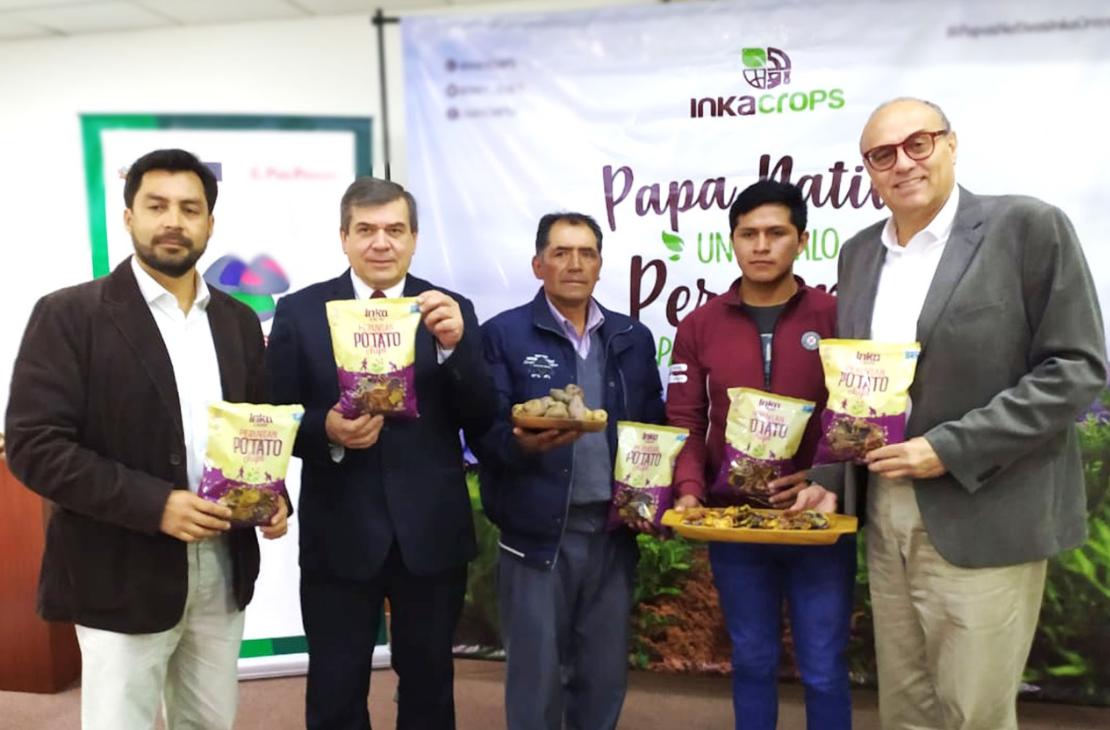 Inka Crops se convirtió en la primera empresa peruana en realizar la mayor exportación de papas nativas de la historia del Perú, al comprar casi 300 toneladas a 25 asociaciones de agricultores de Junín y Huancavelica.