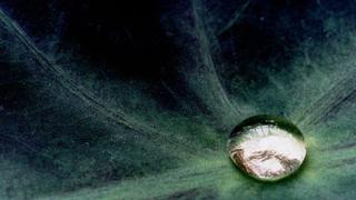 [BBC] Cómo el mercurio reveló mundos ocultos en la ciencia antes de convertirse en un elemento condenado