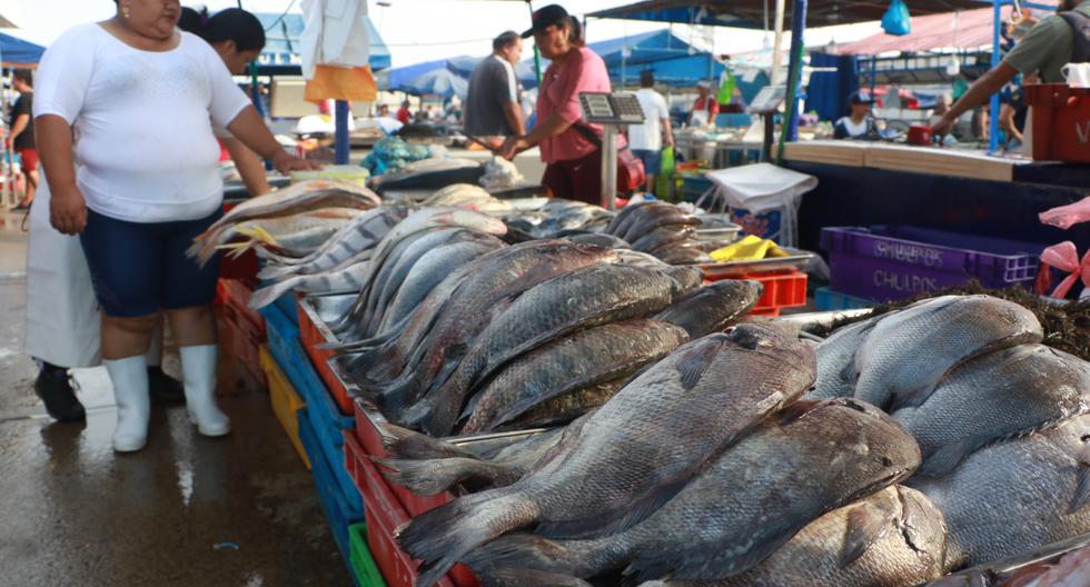 De acuerdo con la información del Ministerio de la Producción, los precios del bonito, la pota, el jurel y la caballa en los principales mercados mayoristas pesqueros aumentaron con respecto a la semana pasada.