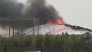 Se incendia zoológico en Inglaterra; miles de visitantes y animales son evacuados | VIDEOS