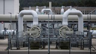Alemania teme una situación de emergencia en caso de corte definitivo del gas ruso