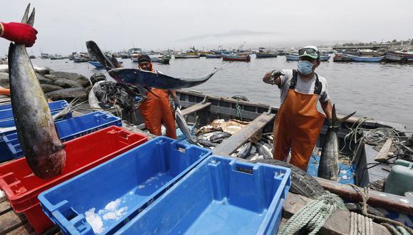 Produce informó sobre la pesca de anchoveta. (Foto: GEC)