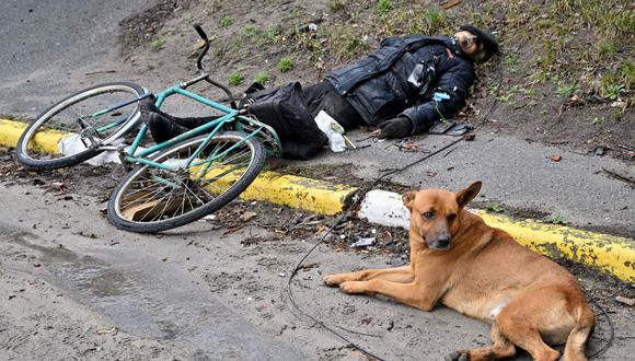 Un perro permanece junto al cuerpo de un hombre, posiblemente su dueño, asesinado por las tropas rusas en la ciudad de Bucha, cerca de Kiev, Ucrania, el 3 de abril de 2022. (SERGEI SUPINSKY / AFP).