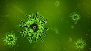 Coronavirus | Claves para entender qué son los virus y cómo actúan 