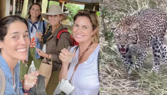 “Este leopardo vio a @almendra_gd y se la quería comer, literalmente", escribió Katia Condos en sus redes sociales. (Foto: Instagram @katiacondosseoane / @almendra_gd / @gianellaneyra_)
