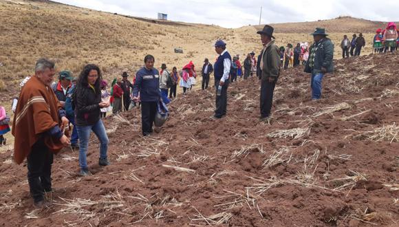 Los beneficiarios también contarán con asistencia técnica del equipo de especialistas y técnicos de la Dirección Zonal Áncash de Agro Rural durante el proceso de siembra y cosecha de los pastos cultivados. (Andina)