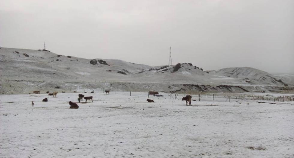 Nevada afecta a pobladores del distrito de Kunturkanki. (Foto: Cusco en Portada)