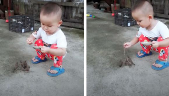 En las imágenes se puede ver cómo es que el niño  alimenta con sus propias manos a las aves que claman por comida. (Foto:Facebook)