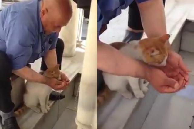 Un anciano conquistó Facebook por ayudar a un sediento gato a beber agua. (Fotos: susanatananda3 en Twitter)