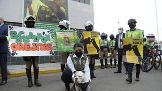 Relanzan el ‘Escuadrón Orejitas’ de la Policía para rescatar mascotas abandonadas y maltratadas