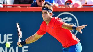 Juan Martín del Potro remontó partido y venció a Berdych en Master de Cincinnati