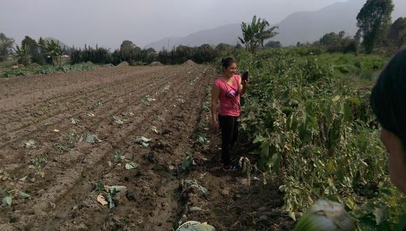 Celia Ramos creció entre cultivos orgánicos que respetan el medio ambiente. Su trabajo puede inspirar a otros agricultores jóvenes del país.