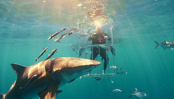 Realizan 'unboxing' del Samsung Galaxy S8 entre tiburones