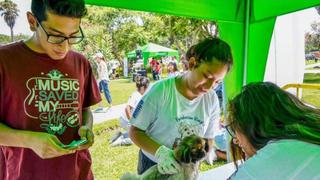 Municipalidad de Lince realizará campaña veterinaria gratuita este domingo