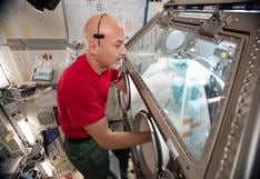 Astronautas logran por primera vez producir carne en el espacio | VIDEO