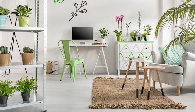 Atrae la buena energía del Feng Shui colocando estas plantas en casa. Conoce cuáles son las que deberías incluir. (Foto: Shutterstock)