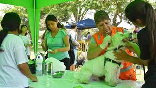 Lince realizará este domingo 24 de marzo campaña veterinaria gratuita