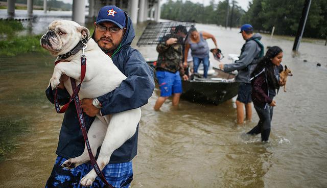 A man carries a dog after being rescued from rising floodwaters due to Hurricane Harvey at the Highland Glen housing development in Spring, Texas, U.S., on Monday, Aug. 28, 2017. 2017. A deluge of rain and rising floodwaters left†Houston†immersed and helpless,†crippling a global center of the oil industry and testing the economic resiliency of a state thatís home to almost 1 in 12 U.S. workers. Photographer: Luke Sharrett/Bloomberg