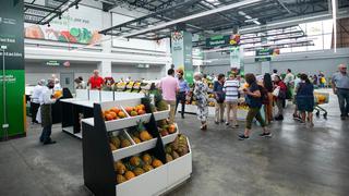 San Isidro: reabren mercado municipal de manera temporal | FOTOS