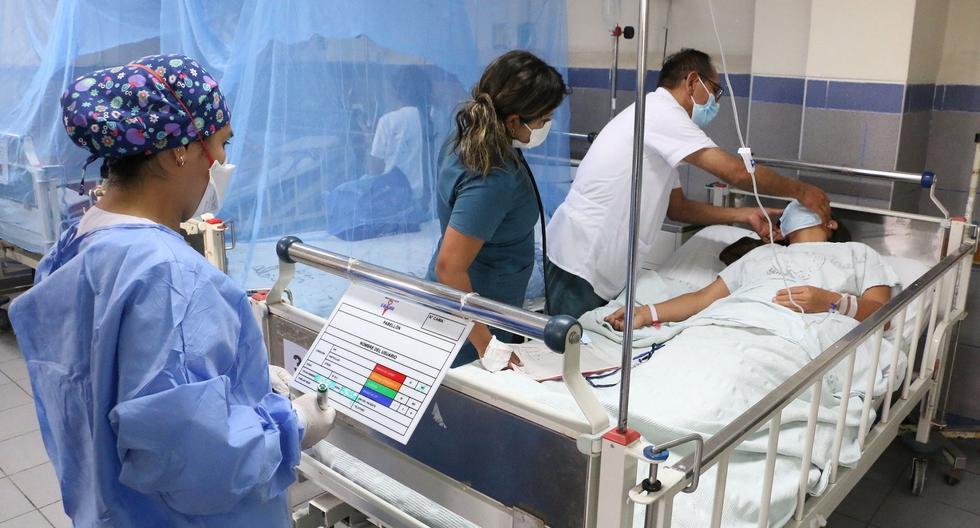 Los casos acumulados de dengue en el Perú a la octava semana epidemiológica son 34.042.