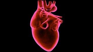 Cardiólogo argentino identificó nuevo gen que causa la muerte súbita