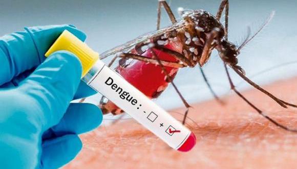 El dengue es una enfermedad producida por un virus de la familia de los flavivirus (Foto: freepik)