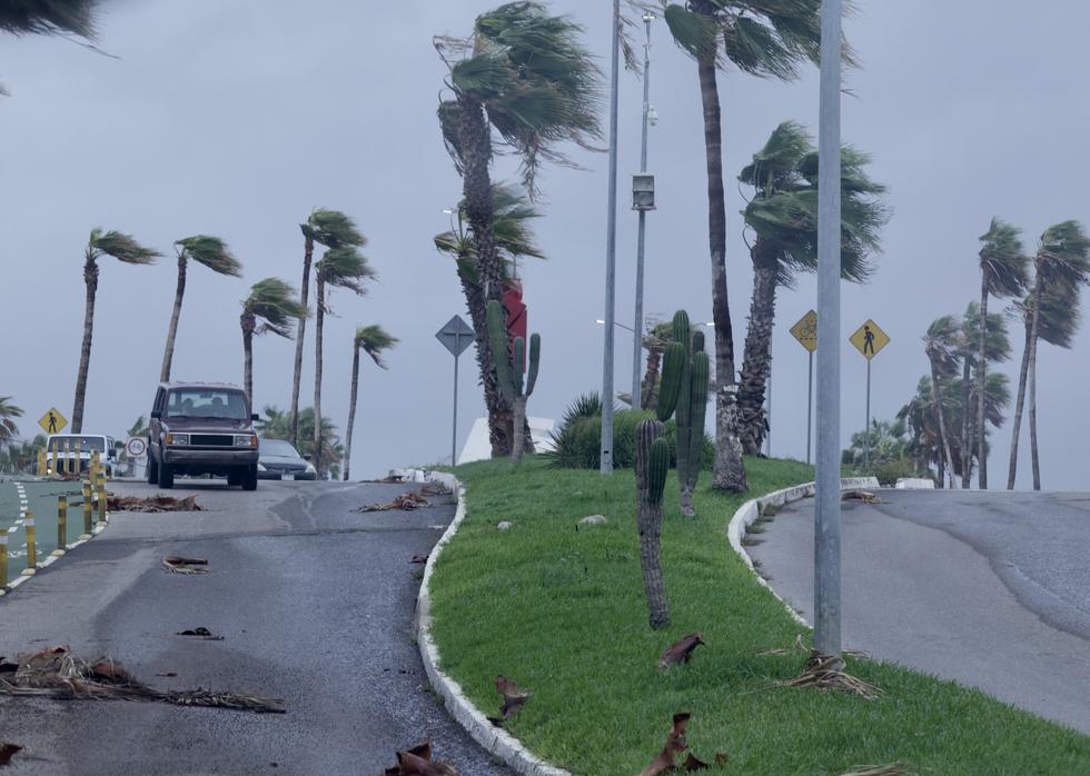 Fotografía de fuertes vientos impactando en unas palmeras debido a la llegada del huracán Kay en Los Cabos (México). (EFE/ Jorge Reyes)