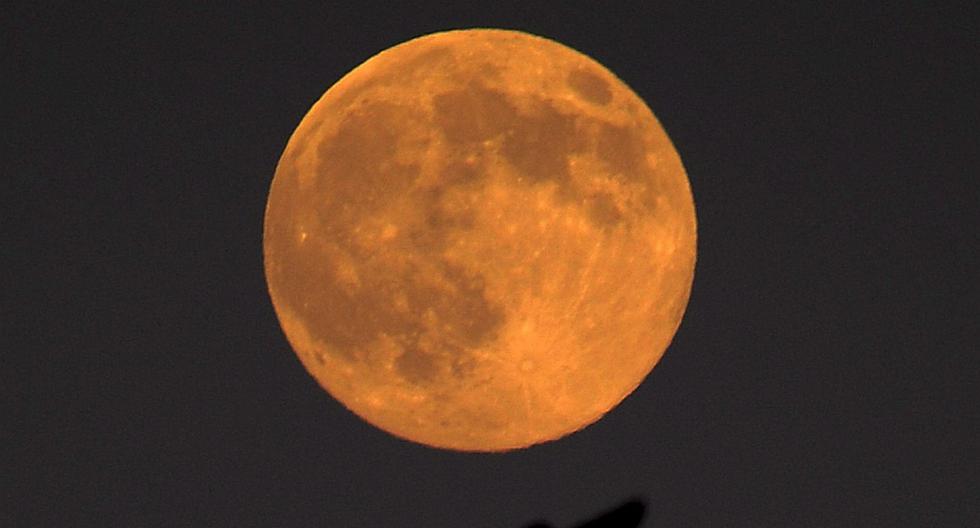 La *Luna de la Cosecha* *aparece cuando está pronto a suceder el equinoccio de otoño en el hemisferio Norte*. (Foto: EFE/MIKE NELSON)