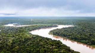 El Amazonas, en riesgo en un eventual gobierno de Bolsonaro en Brasil
