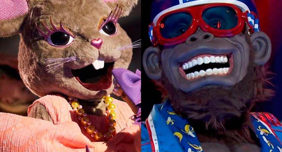Bandage!  Mouse and Gorilla Win Mask Singer 3: The Real Identity of the Finalists |  Antenna 3 Project |  Spain |  fame