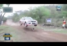 YouTube: Pupi, el perrito que se salvó de morir en el Rally CODASUR