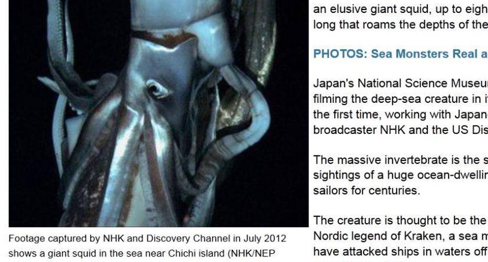Los calamares gigantes pueden llegar a crecer hasta aproximadamente 20 metros de longitud. (Captura: news.discovery.com)